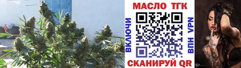 ТГК вейп  блэк спрут ссылки  Прохладный 